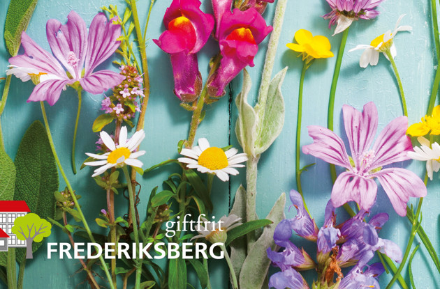 Smukke blomster i en giftfri have