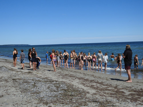 Billede fra stranden på Falster